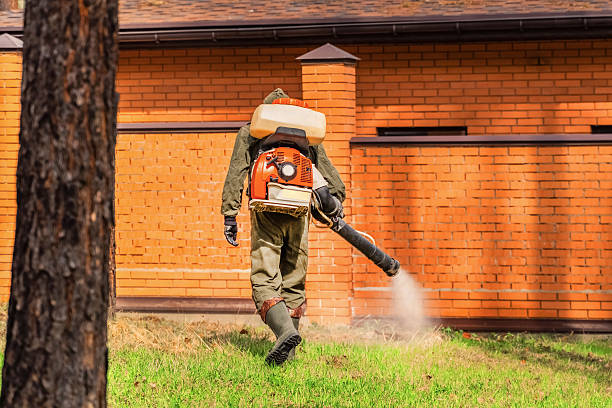 Bed Bug Clearance Verification and Documentation in Jarales